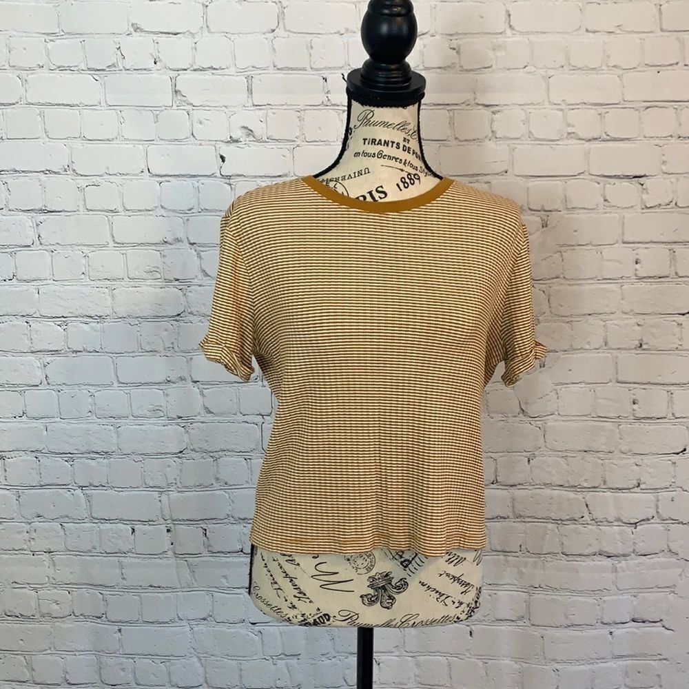 Forever 21 | Cropped Top | Size Medium